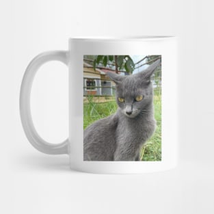 a portrait of a grey cat Mug